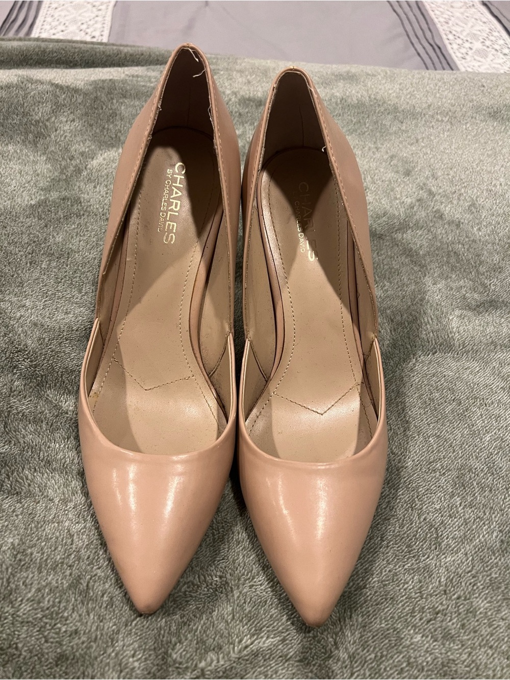 Charles by Charles David Blush Pink Pointed-Toe Pumps